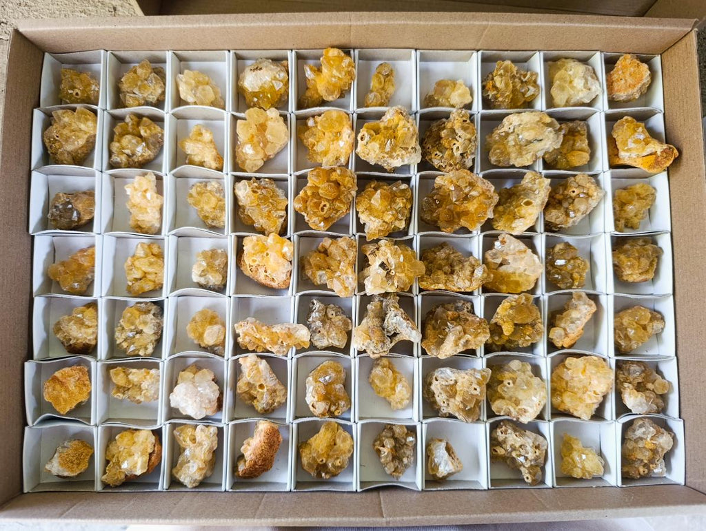 Natural Golden Limonite Quartz Clusters x 70  From Solwezi, Zambia - Toprock Gemstones and Minerals 