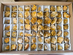 Natural Golden Limonite Quartz Clusters x 70  From Solwezi, Zambia - Toprock Gemstones and Minerals 