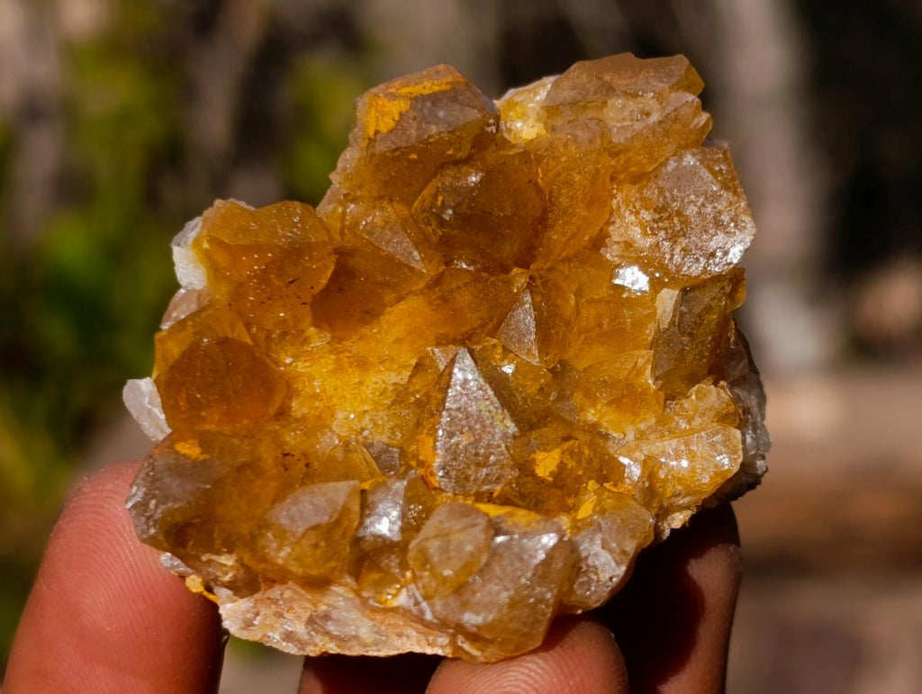 Natural Golden Limonite Quartz Clusters x 70  From Solwezi, Zambia - Toprock Gemstones and Minerals 