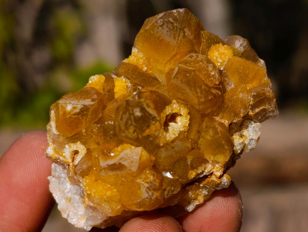 Natural Golden Limonite Quartz Clusters x 70  From Solwezi, Zambia - Toprock Gemstones and Minerals 