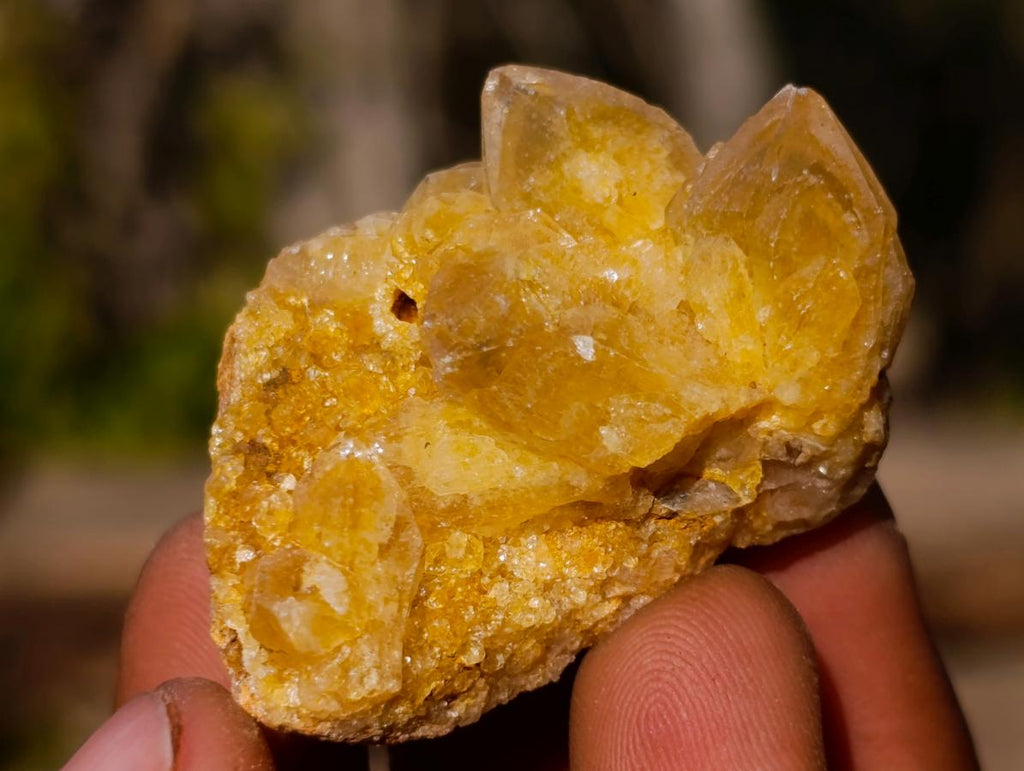 Natural Golden Limonite Quartz Clusters x 70  From Solwezi, Zambia - Toprock Gemstones and Minerals 