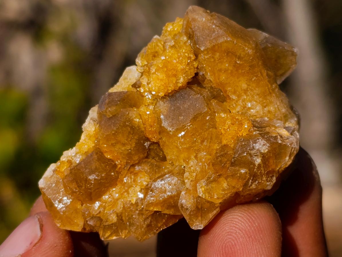 Natural Golden Limonite Quartz Clusters x 70  From Solwezi, Zambia - Toprock Gemstones and Minerals 