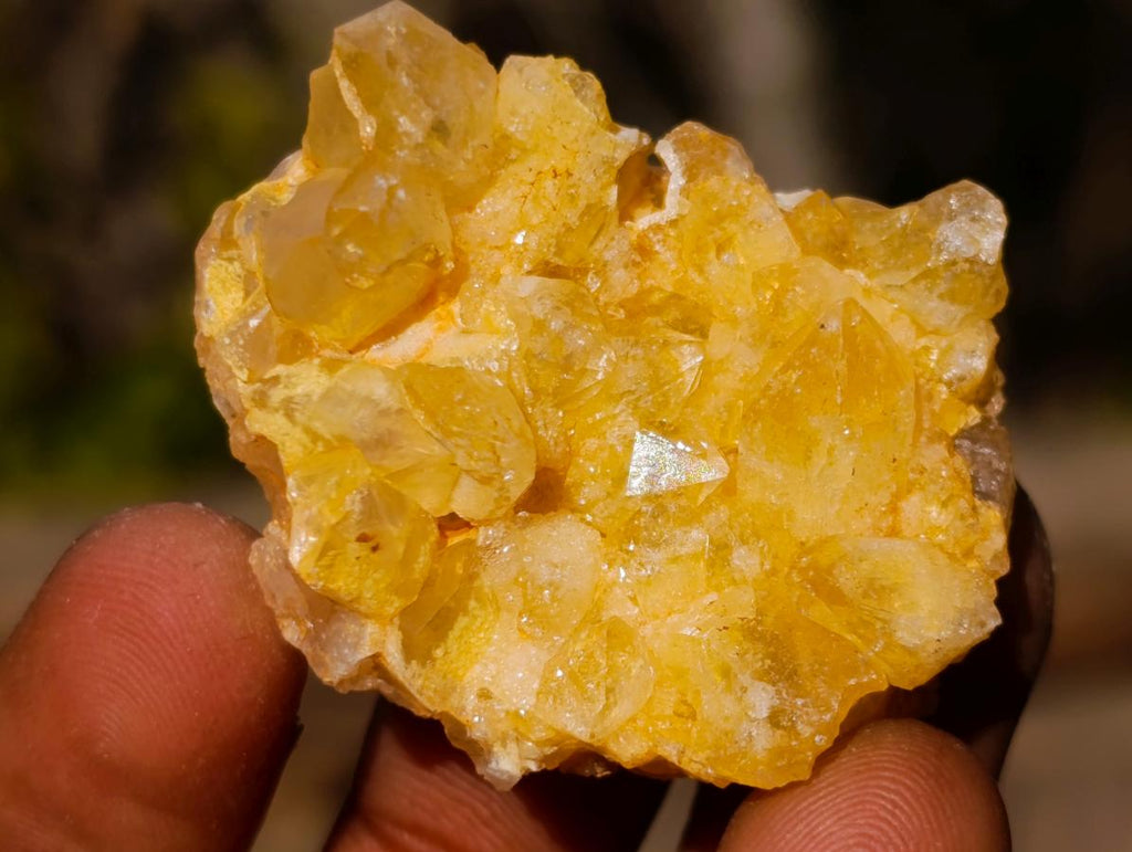 Natural Golden Limonite Quartz Clusters x 70  From Solwezi, Zambia - Toprock Gemstones and Minerals 