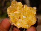 Natural Golden Limonite Quartz Clusters x 70  From Solwezi, Zambia - Toprock Gemstones and Minerals 