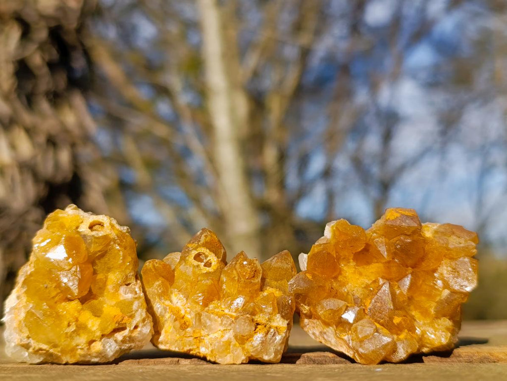 Natural Golden Limonite Quartz Clusters x 70  From Solwezi, Zambia - Toprock Gemstones and Minerals 