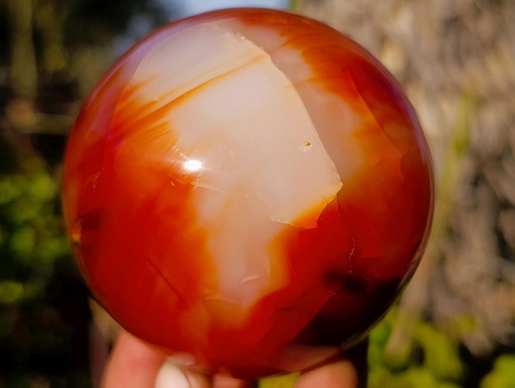 Polished Carnelian Agate Gemstone Spheres x 2 From Madagascar - Toprock Gemstones and Minerals 