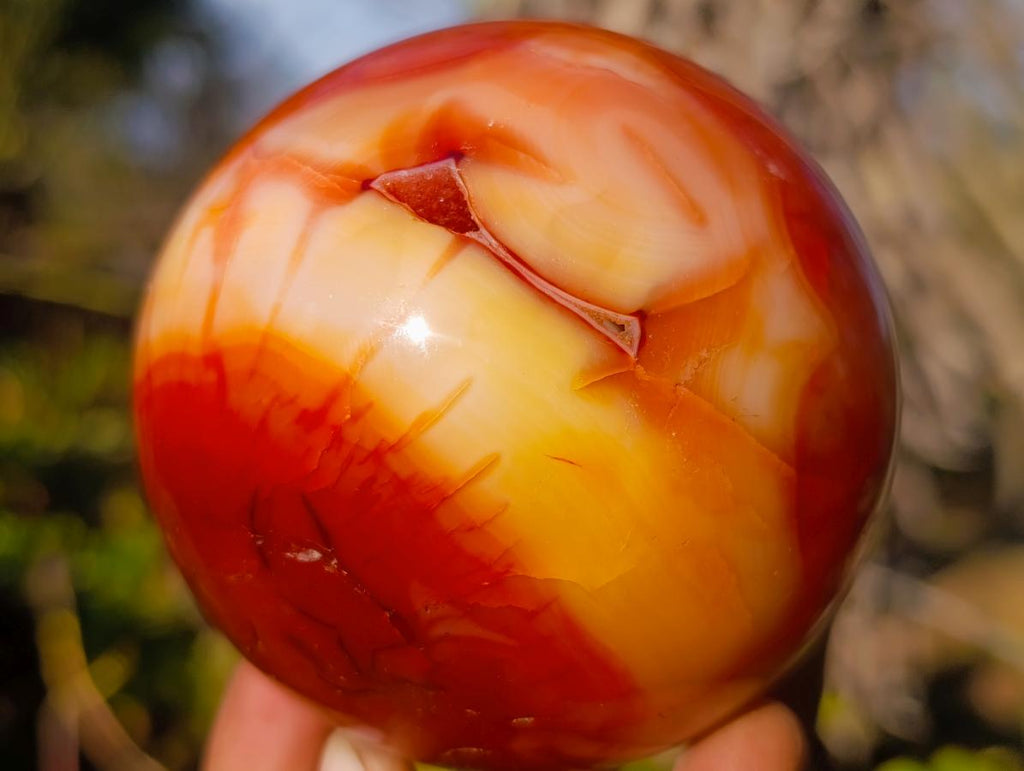 Polished Carnelian Agate Gemstone Spheres x 2 From Madagascar - Toprock Gemstones and Minerals 