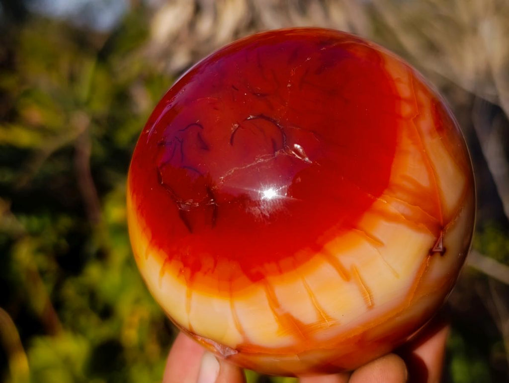 Polished Carnelian Agate Gemstone Spheres x 2 From Madagascar - Toprock Gemstones and Minerals 