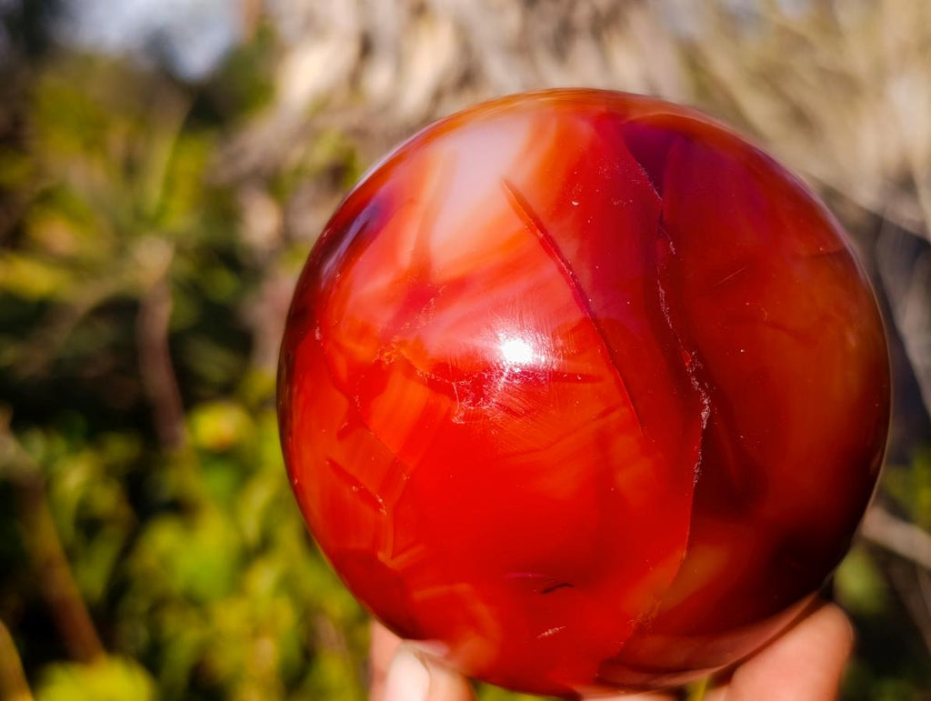 Polished Carnelian Agate Gemstone Spheres x 2 From Madagascar - Toprock Gemstones and Minerals 
