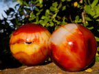 Polished Carnelian Agate Gemstone Spheres x 2 From Madagascar - Toprock Gemstones and Minerals 