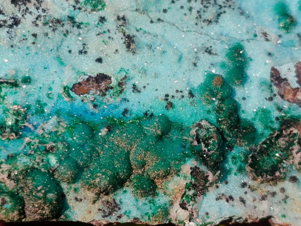 Natural Drusy Dolomite Coated Chrysocolla with Malachite Crystals x 2 From Lupoto Mine, Congo - Toprock Gemstones and Minerals 