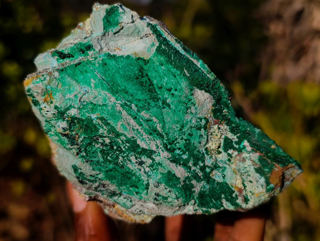 Natural Drusy Dolomite Coated Chrysocolla with Malachite Crystals x 2 From Lupoto Mine, Congo - Toprock Gemstones and Minerals 
