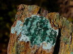 Natural Drusy Dolomite Coated Chrysocolla with Malachite Crystals x 2 From Lupoto Mine, Congo - Toprock Gemstones and Minerals 
