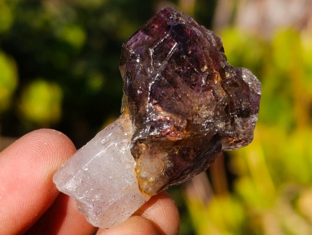 Natural Smokey Skeletal Window Amethyst Crystals x 20 From Chiredzi, Zimbabwe - Toprock Gemstones and Minerals 