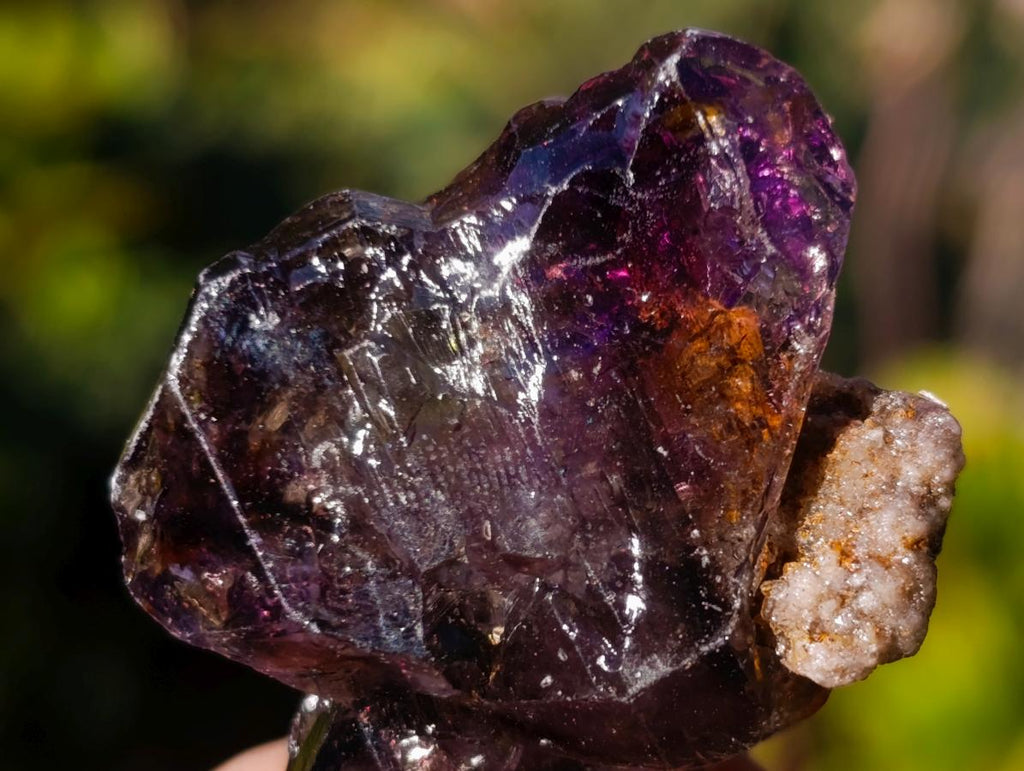 Natural Smokey Skeletal Window Amethyst Crystals x 20 From Chiredzi, Zimbabwe - Toprock Gemstones and Minerals 