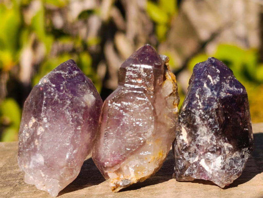 Natural Smokey Skeletal Window Amethyst Crystals x 20 From Chiredzi, Zimbabwe - Toprock Gemstones and Minerals 