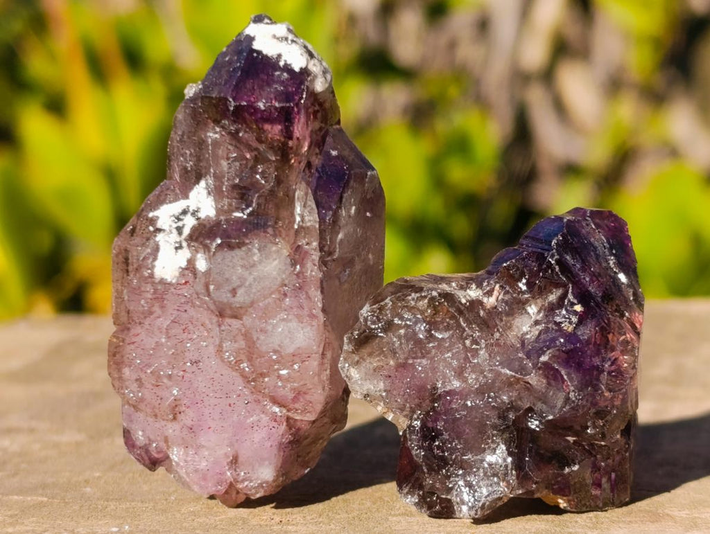 Natural Smokey Skeletal Window Amethyst Crystals x 20 From Chiredzi, Zimbabwe - Toprock Gemstones and Minerals 