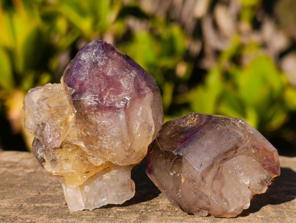 Natural Smokey Skeletal Window Amethyst Crystals x 20 From Chiredzi, Zimbabwe - Toprock Gemstones and Minerals 