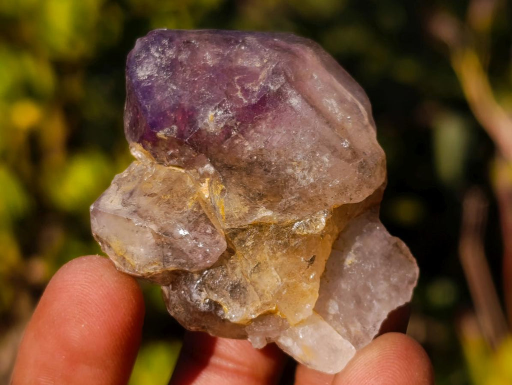 Natural Smokey Skeletal Window Amethyst Crystals x 20 From Chiredzi, Zimbabwe - Toprock Gemstones and Minerals 