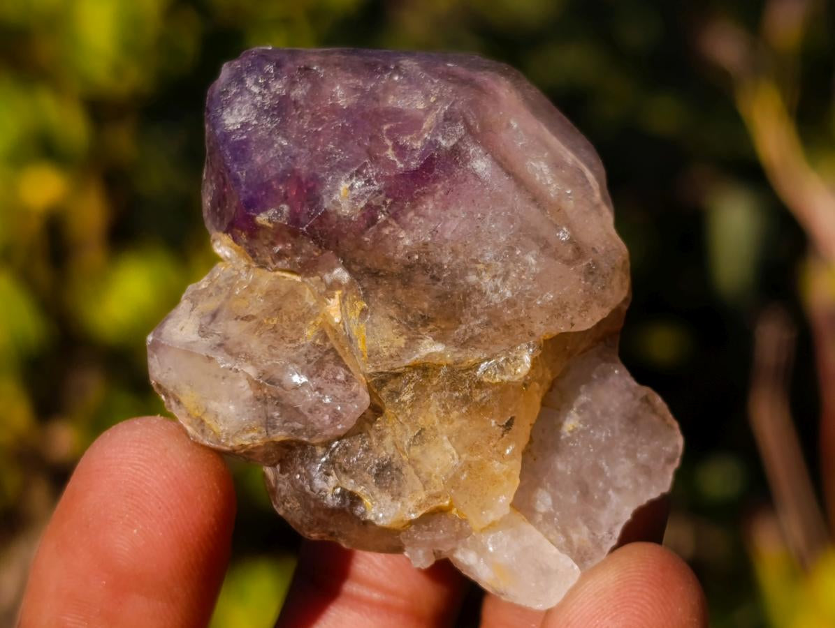 Natural Smokey Skeletal Window Amethyst Crystals x 20 From Chiredzi, Zimbabwe - Toprock Gemstones and Minerals 