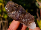 Natural Smokey Skeletal Window Amethyst Crystals x 20 From Chiredzi, Zimbabwe - Toprock Gemstones and Minerals 