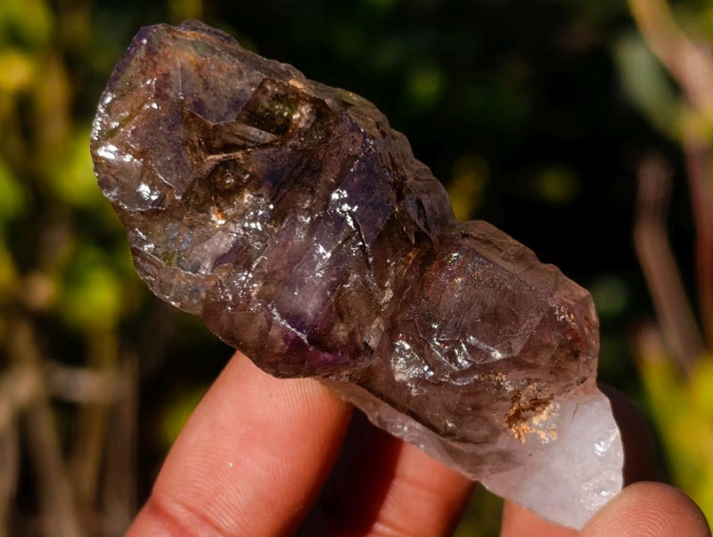 Natural Smokey Skeletal Window Amethyst Crystals x 20 From Chiredzi, Zimbabwe - Toprock Gemstones and Minerals 