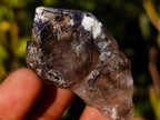 Natural Smokey Skeletal Window Amethyst Crystals x 20 From Chiredzi, Zimbabwe - Toprock Gemstones and Minerals 