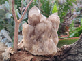 Natural Cascading White Phantom Smokey Luena Quartz Clusters x 3 From Luena, Congo