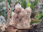 Natural Cascading White Phantom Smokey Luena Quartz Clusters x 3 From Luena, Congo