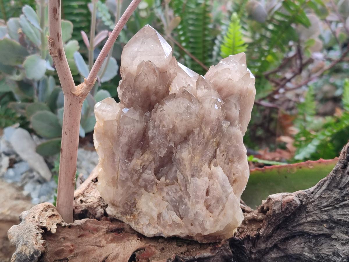 Natural Cascading White Phantom Smokey Luena Quartz Clusters x 3 From Luena, Congo