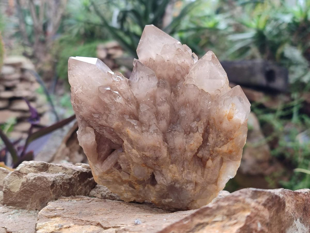 Natural Cascading White Phantom Smokey Luena Quartz Clusters x 3 From Luena, Congo