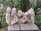 Natural Cascading White Phantom Smokey Luena Quartz Clusters x 3 From Luena, Congo