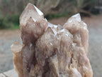 Natural Cascading White Phantom Smokey Luena Quartz Clusters x 3 From Luena, Congo