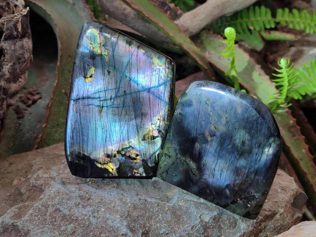 Polished Spectrolite Labradorite Standing Display Pieces x 3 From Madagascar