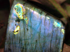 Polished Spectrolite Labradorite Standing Display Pieces x 3 From Madagascar