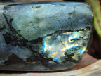 Polished Spectrolite Labradorite Standing Display Pieces x 3 From Madagascar
