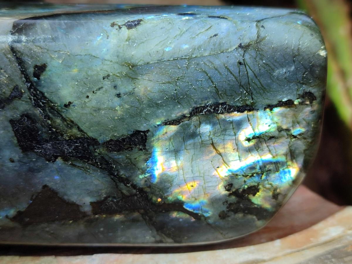 Polished Spectrolite Labradorite Standing Display Pieces x 3 From Madagascar