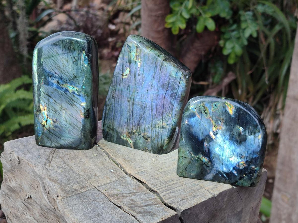 Polished Spectrolite Labradorite Standing Display Pieces x 3 From Madagascar