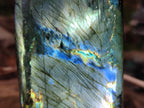 Polished Spectrolite Labradorite Standing Display Pieces x 3 From Madagascar