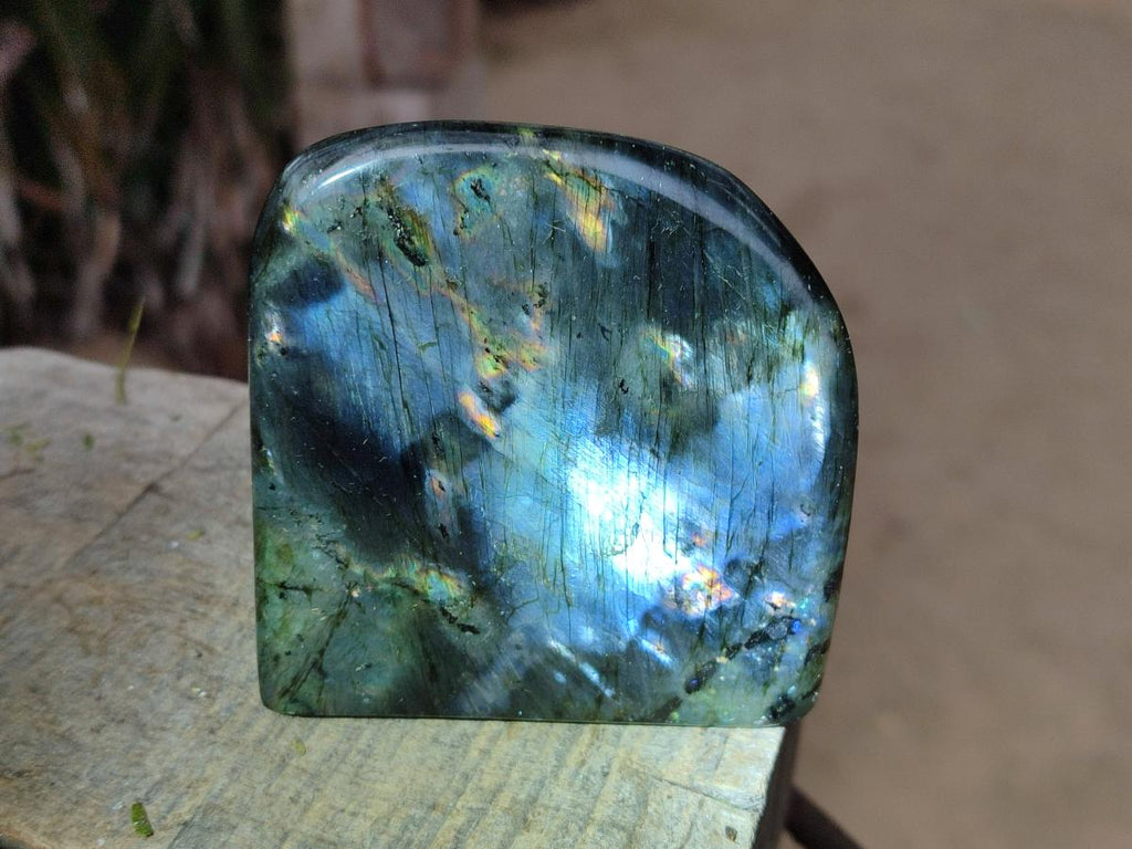 Polished Spectrolite Labradorite Standing Display Pieces x 3 From Madagascar