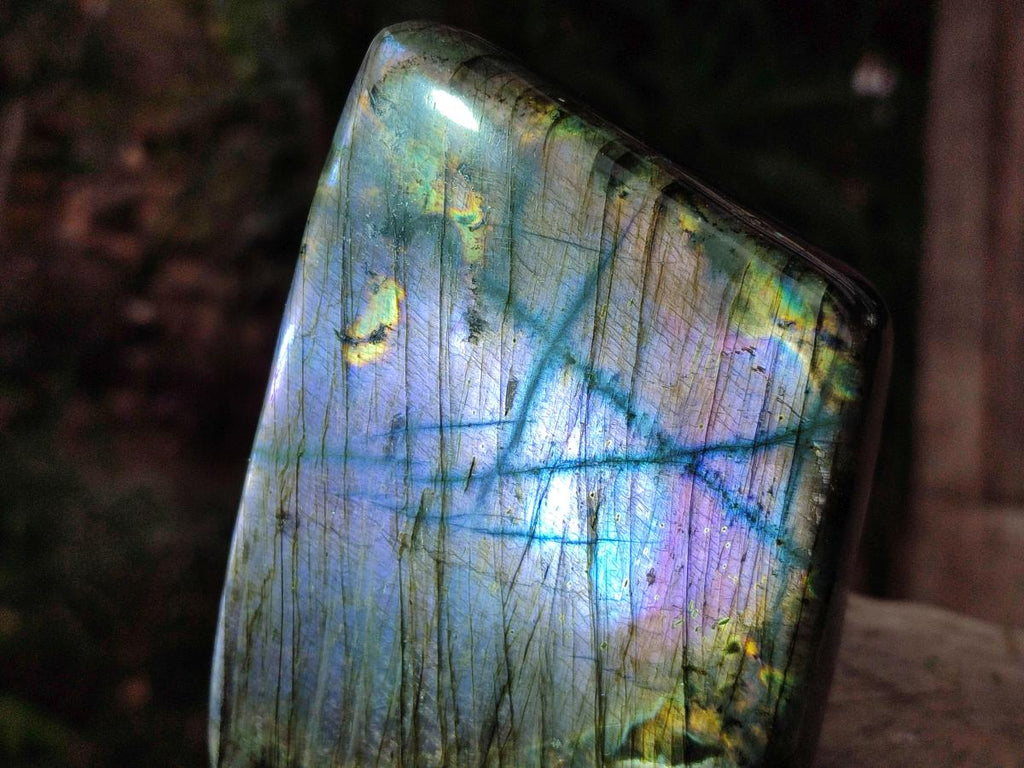 Polished Spectrolite Labradorite Standing Display Pieces x 3 From Madagascar