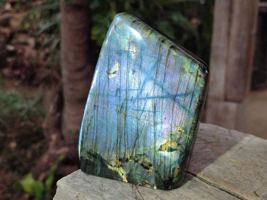 Polished Spectrolite Labradorite Standing Display Pieces x 3 From Madagascar