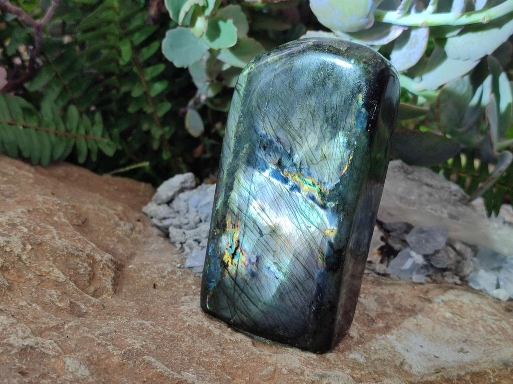 Polished Spectrolite Labradorite Standing Display Pieces x 3 From Madagascar