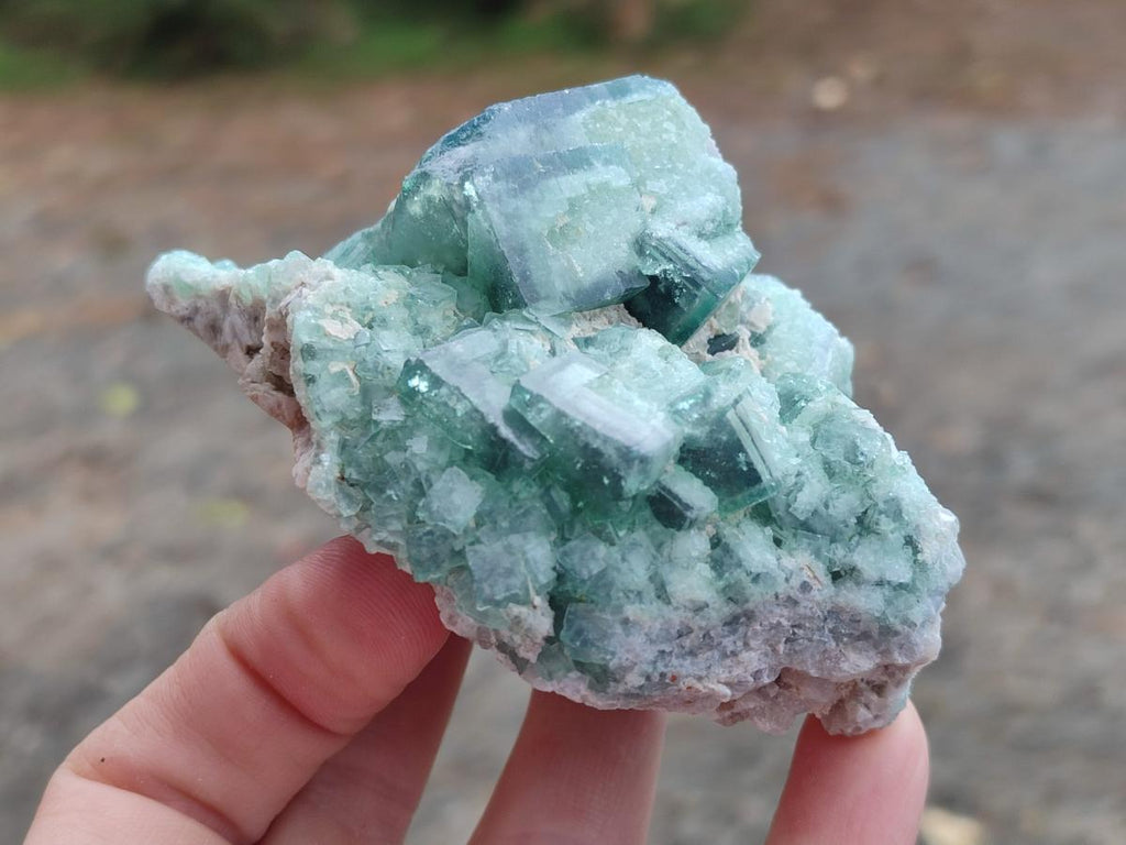 Natural Green Cubic Fluorite Specimens x 6 From Mandrosonoro, Madagascar