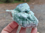Natural Green Cubic Fluorite Specimens x 6 From Mandrosonoro, Madagascar
