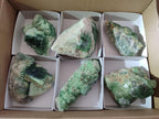 Natural Green Cubic Fluorite Specimens x 6 From Mandrosonoro, Madagascar