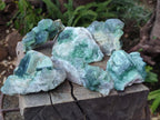 Natural Green Cubic Fluorite Specimens x 6 From Mandrosonoro, Madagascar