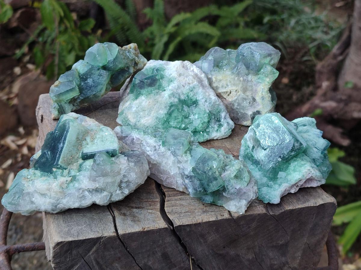 Natural Green Cubic Fluorite Specimens x 6 From Mandrosonoro, Madagascar