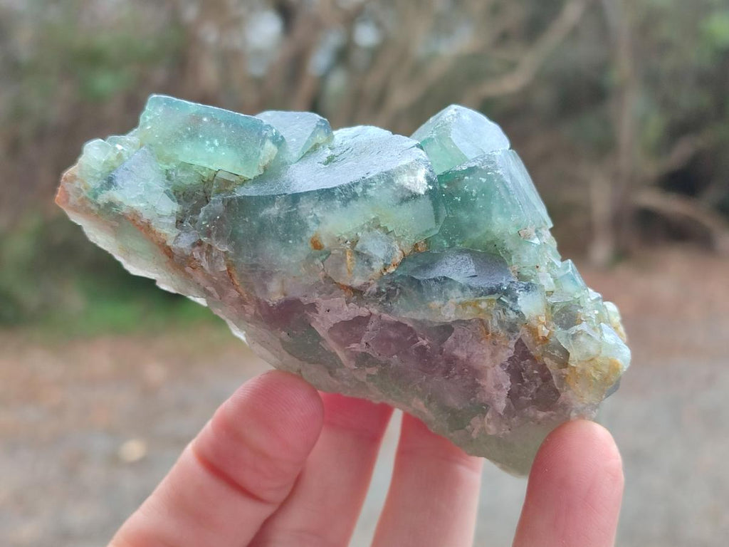 Natural Green Cubic Fluorite Specimens x 6 From Mandrosonoro, Madagascar