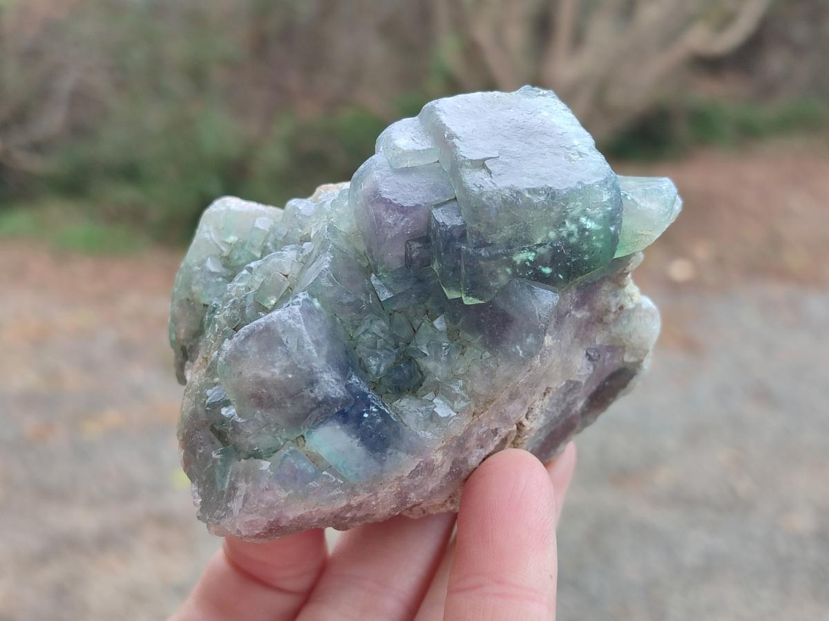 Natural Green Cubic Fluorite Specimens x 6 From Mandrosonoro, Madagascar